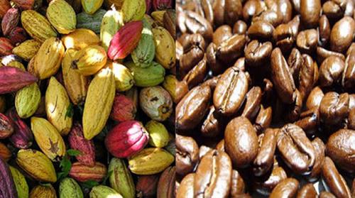 Cafe Cacao