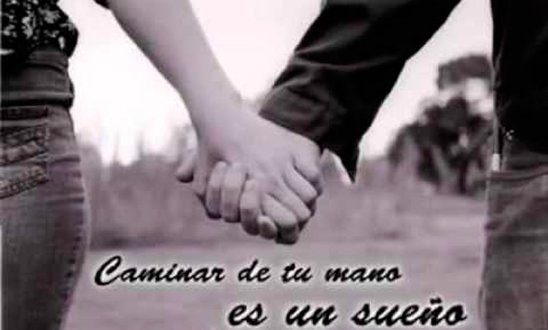 llegó el amor