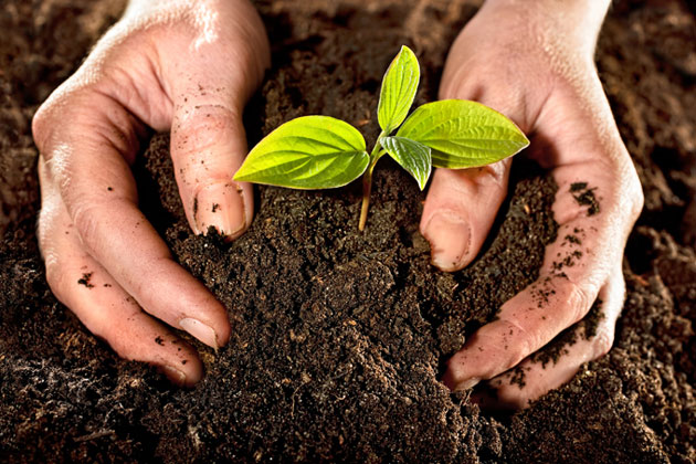agroecologia1