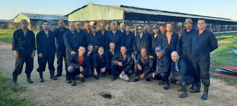 trabajadores avícolas 01