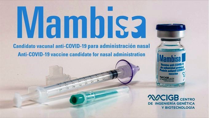 Mambisa