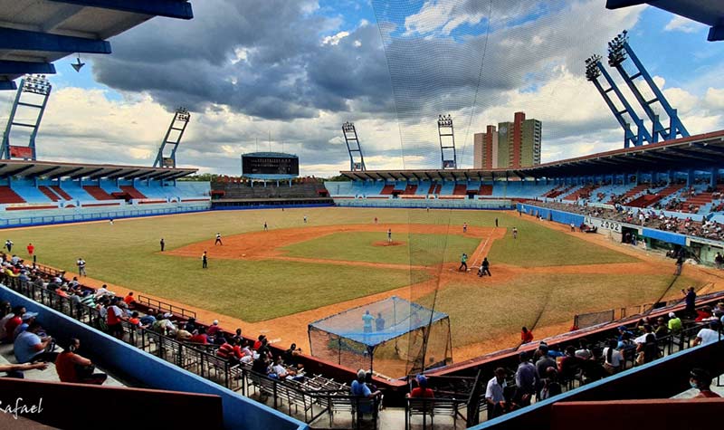 cachorros 61 serie CRD 2