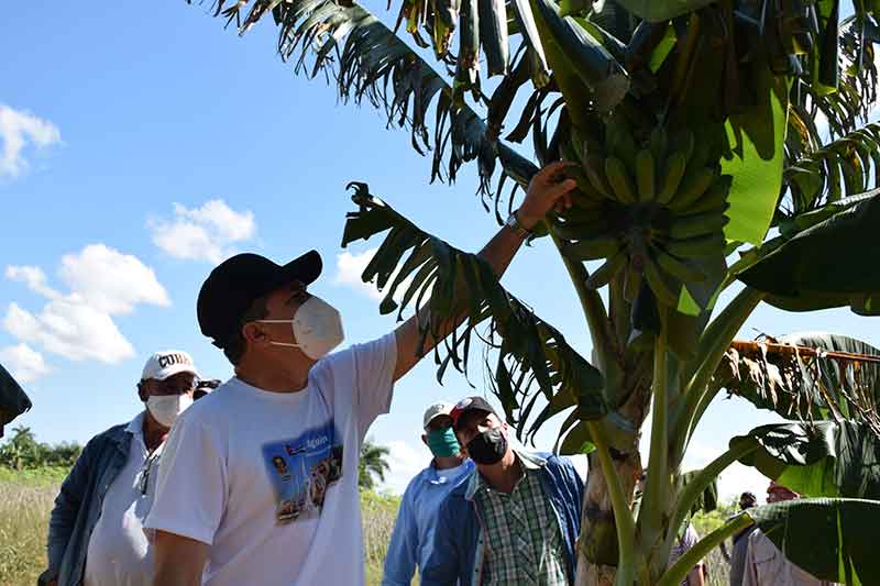 cueto agricultura secreyario HCS 1