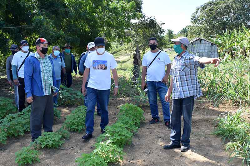 cueto agricultura secreyario HCS 2