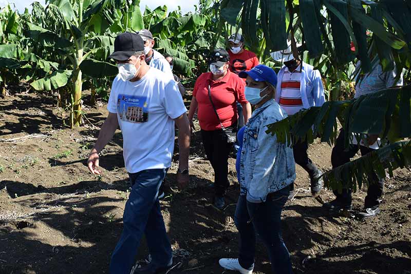 agricultura secreyario HCS 5
