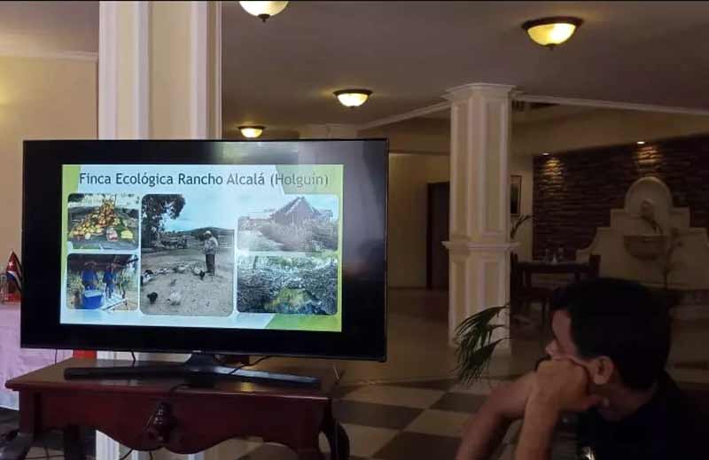 Proyecto Ecovalor