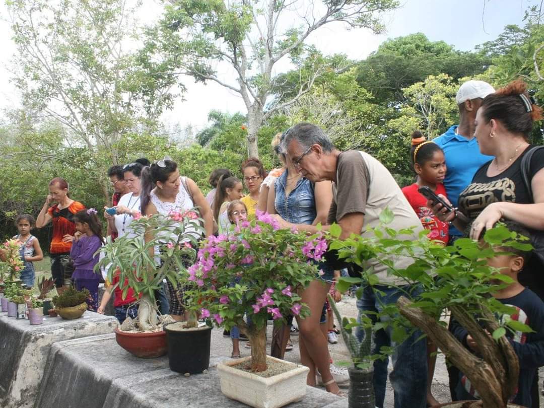 jardinbotanico 1