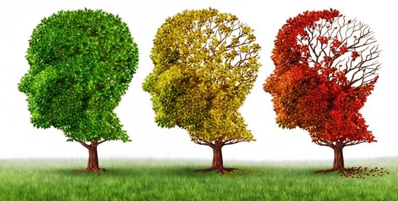 pbPI 7197276 9094 alzheimer