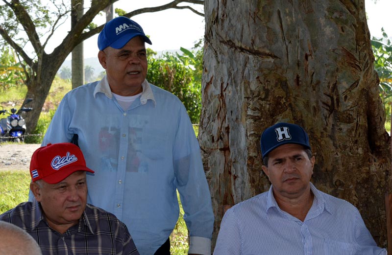 producción Tapia Mayarí ATH 16