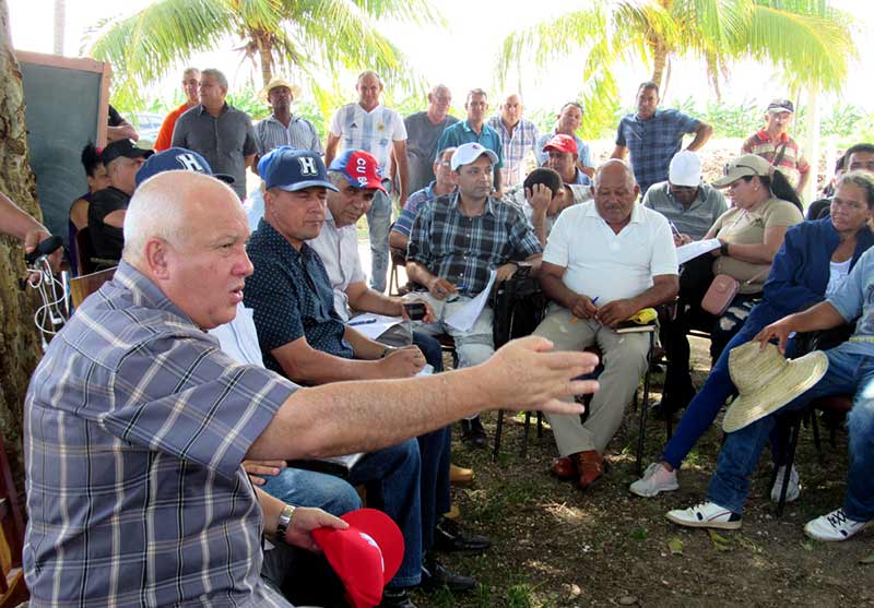 producción Tapia Mayarí ATH 2