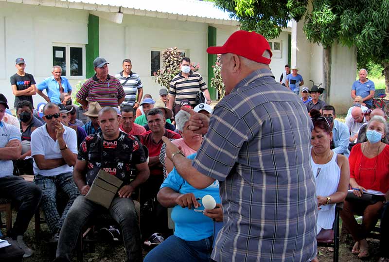 producción Tapia Mayarí ATH 3