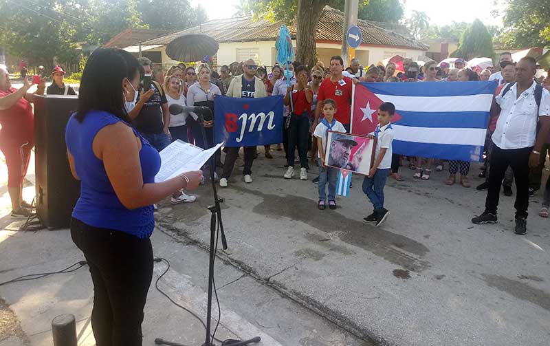 verbenas cacocum 2 
