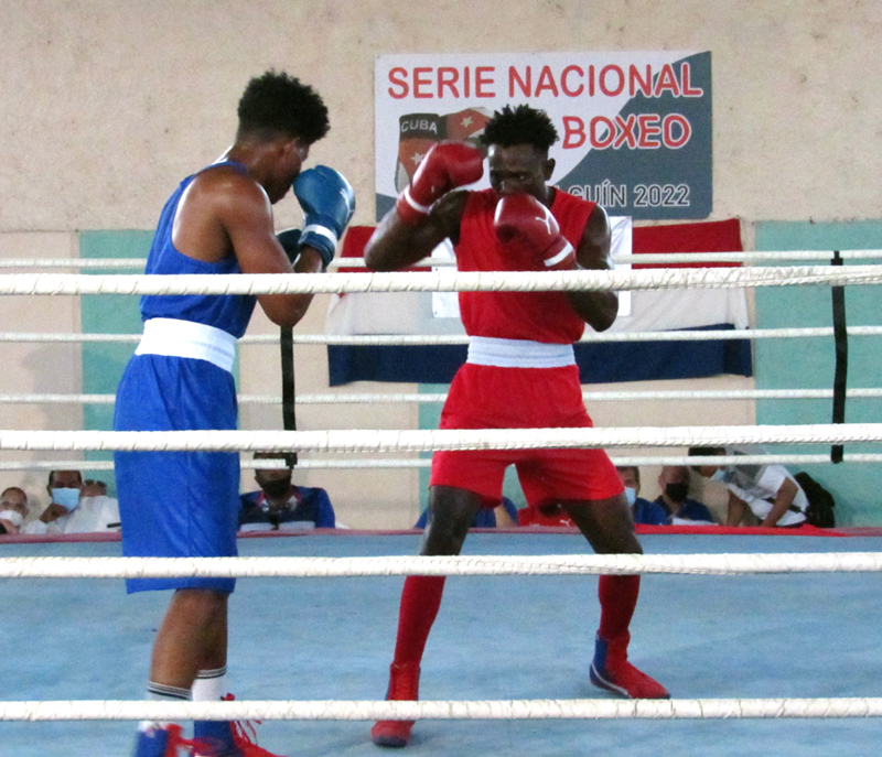 boxeoholguin3