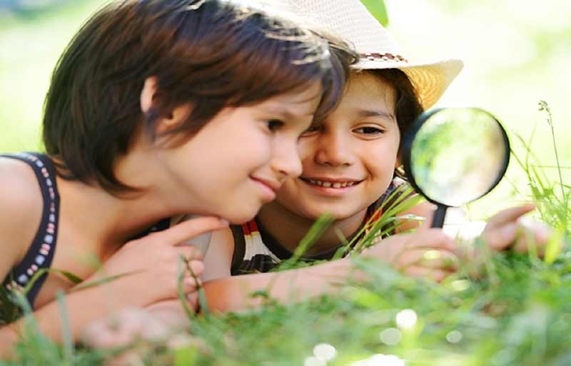 ciencias naturales en primaria
