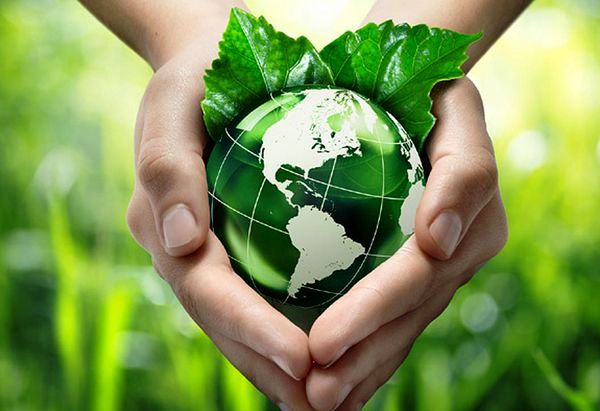 medioambiente1