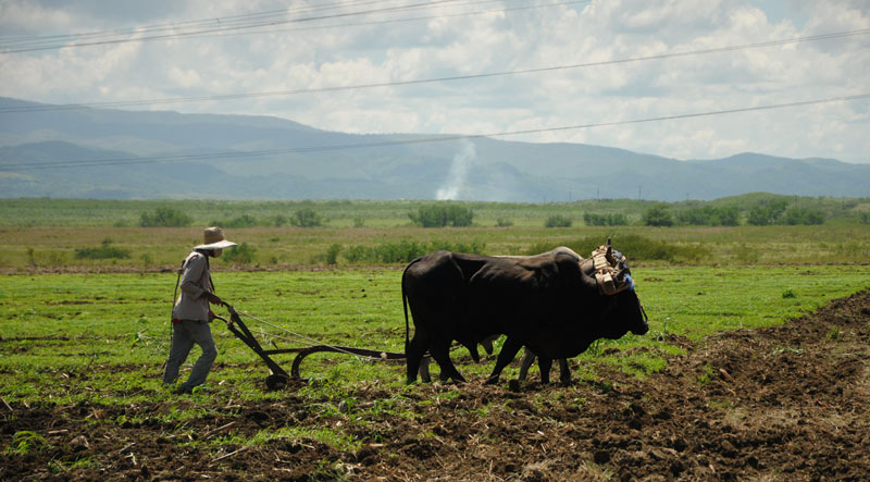 agricultura usufructos 1