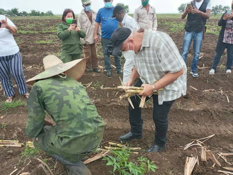 agroindustriaazucarera2