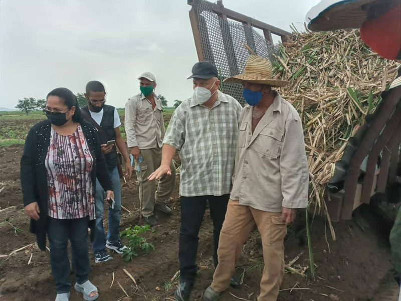 agroindustriaazucarera3