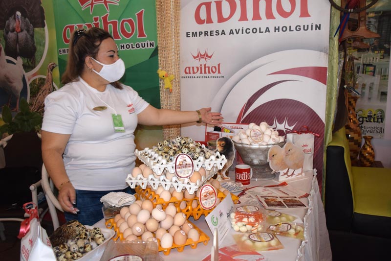 hcs feriadesarrollo local 04