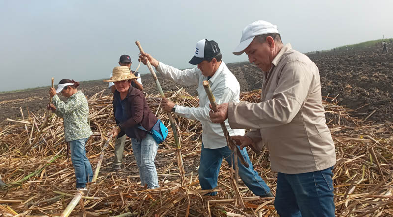 Fotos de la autora trabajo voluntario revolución 03