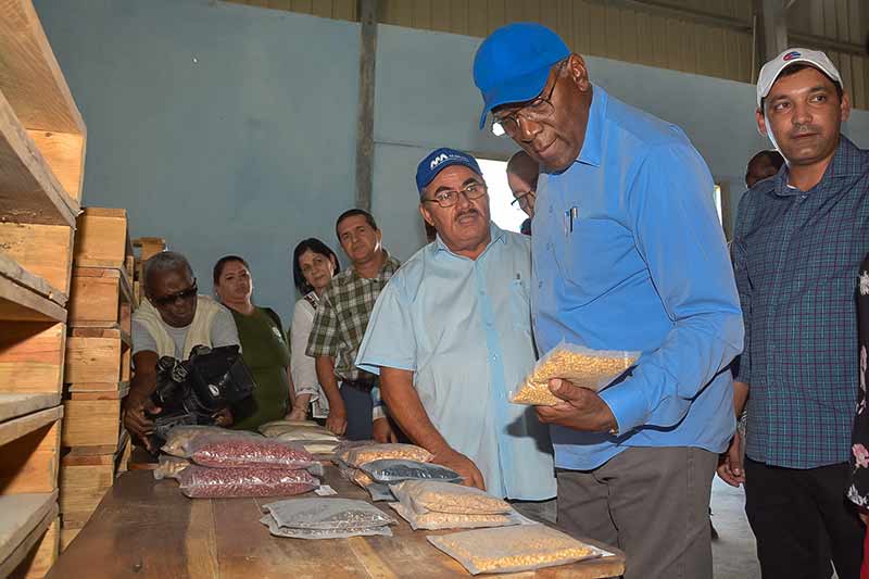 valdés mesa Gibara gobierno JPC 2