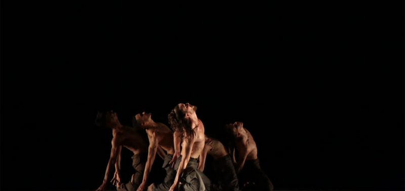 Codanza2