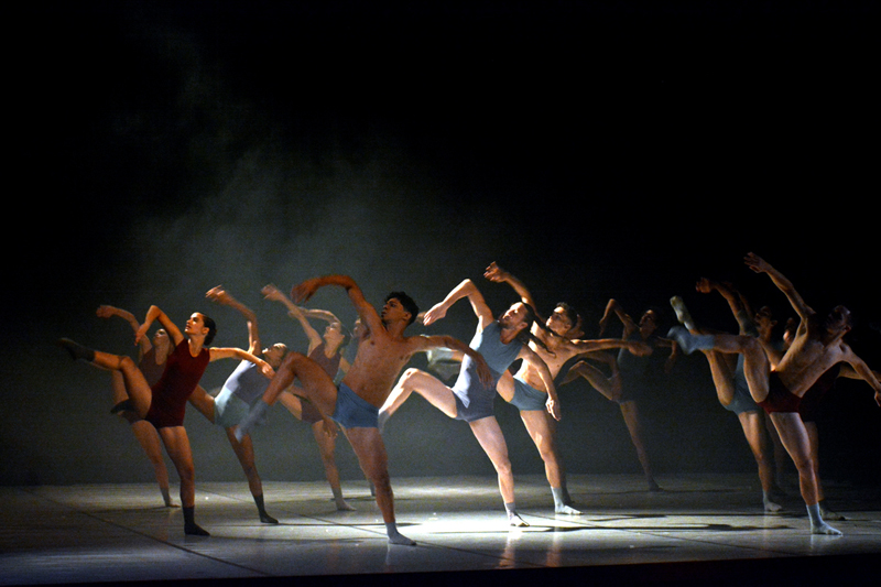 Codanza 11