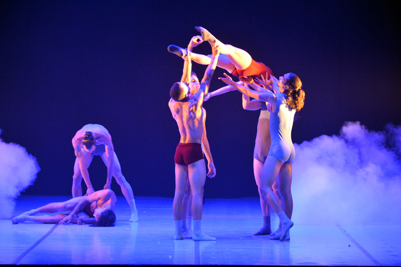 Codanza 14