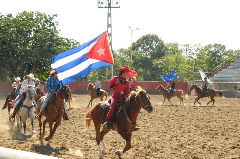 agropecuarios 4