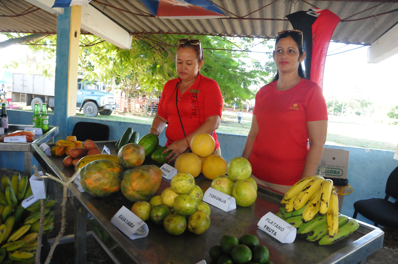 agropecuarios 5