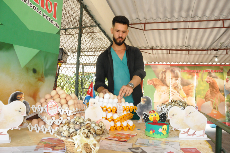 agropecuarios6