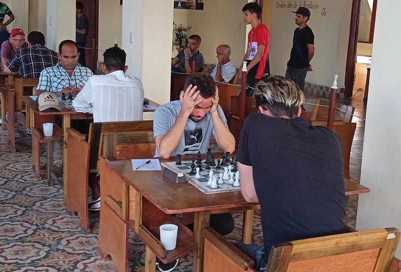 Foto del autor ajedrez manuel dario win