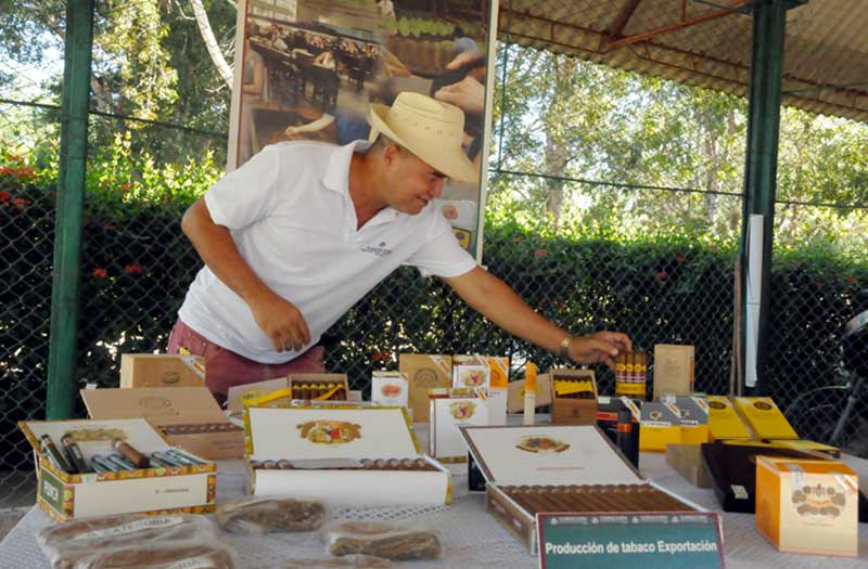 feria agropecuaria ELA 11