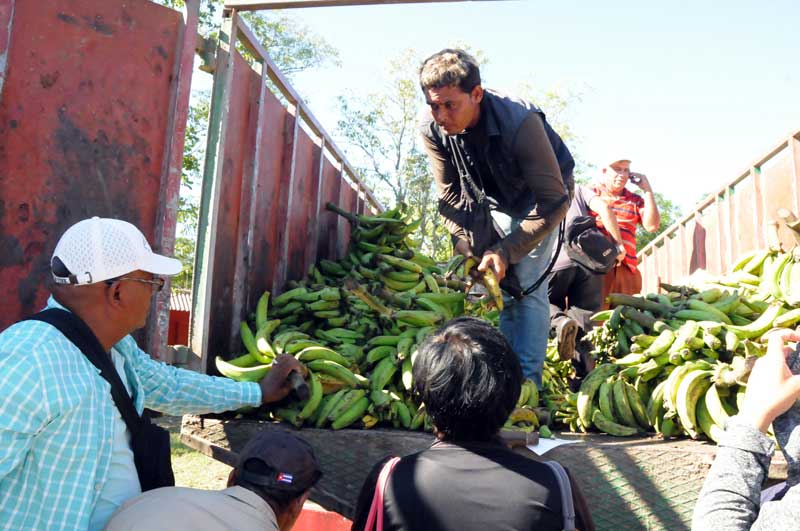 feria agropecuaria ELA 12