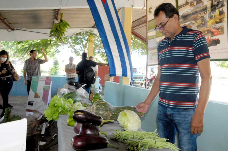 feria agropecuaria ELA 6