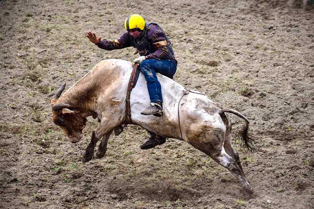 hcs rodeo 001