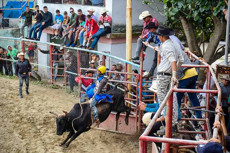 hcs rodeo 003