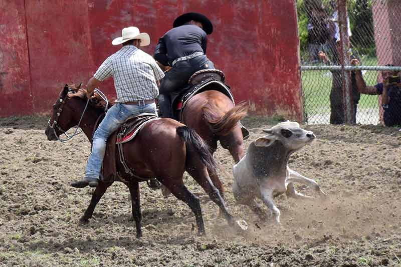 hcs rodeo 006