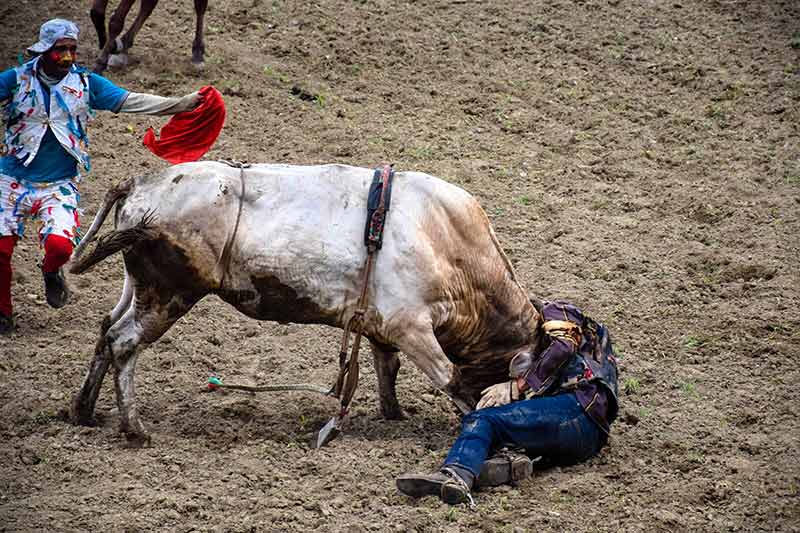 hcs rodeo 007