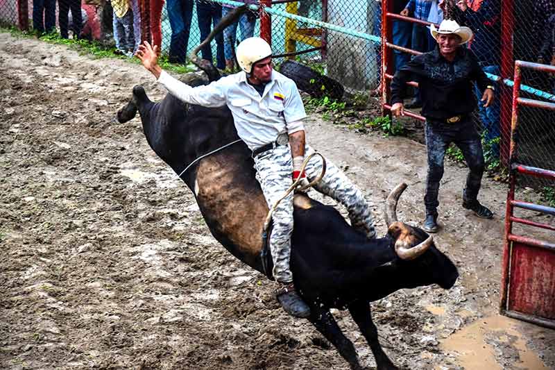 hcs rodeo 008
