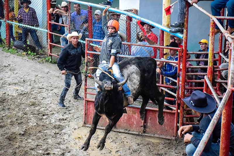 hcs rodeo 010