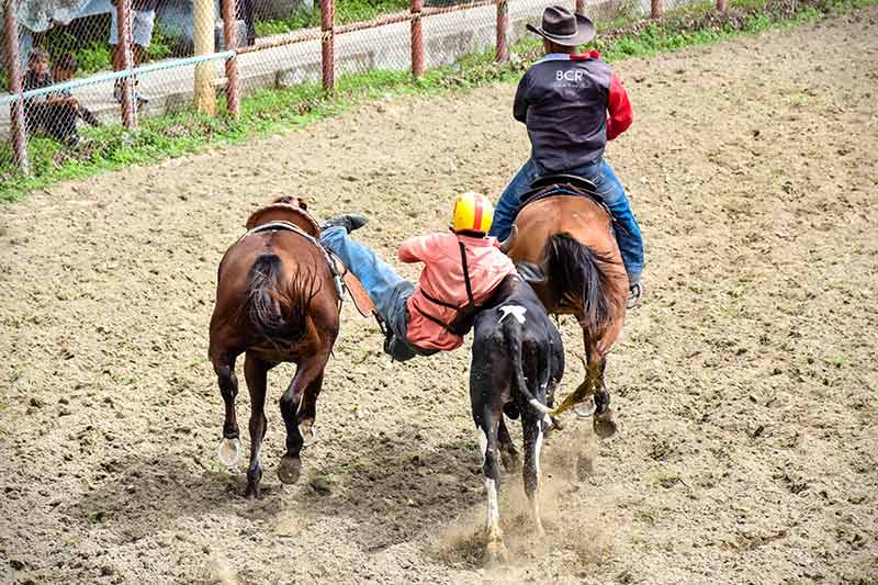 hcs rodeo 013