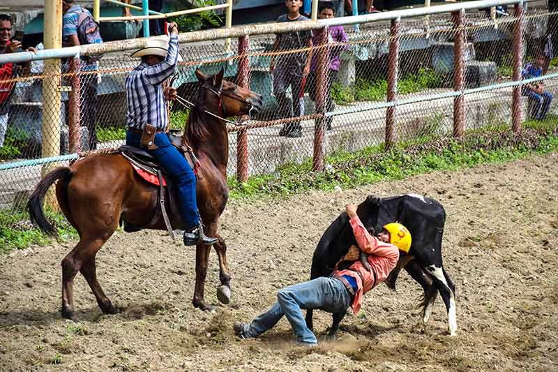 hcs rodeo 014