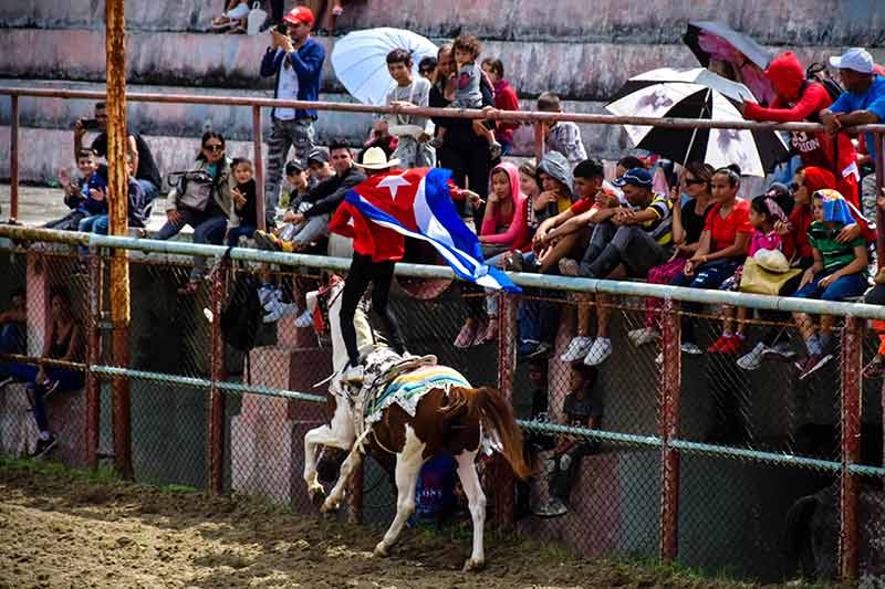 hcs rodeo 015