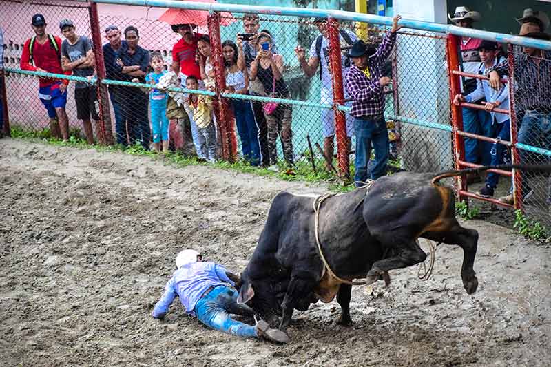 hcs rodeo 016