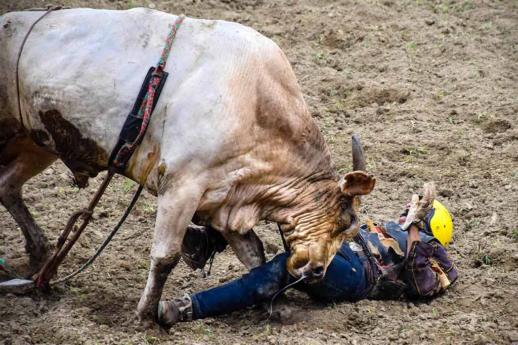 hcs rodeo 018
