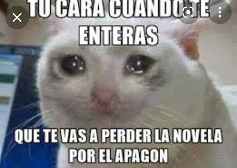 memes holguín 3