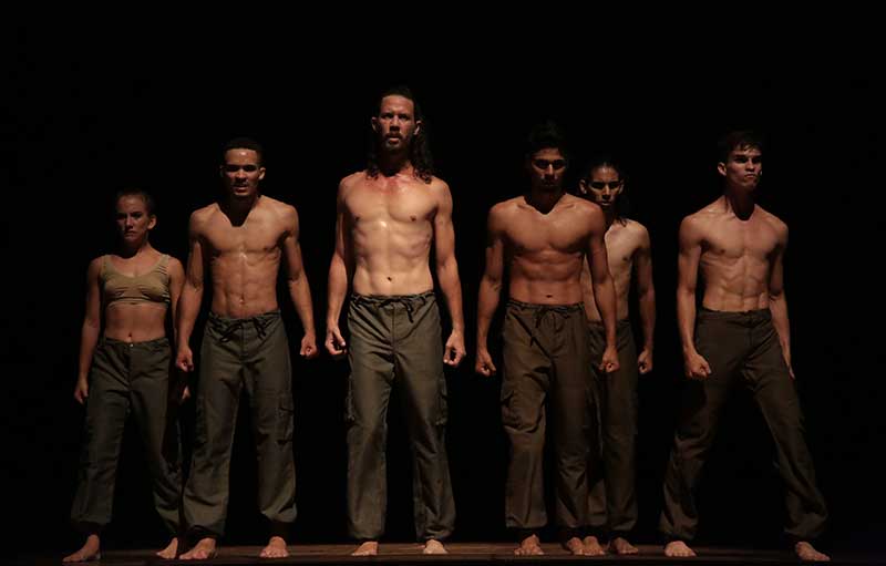 Codanza