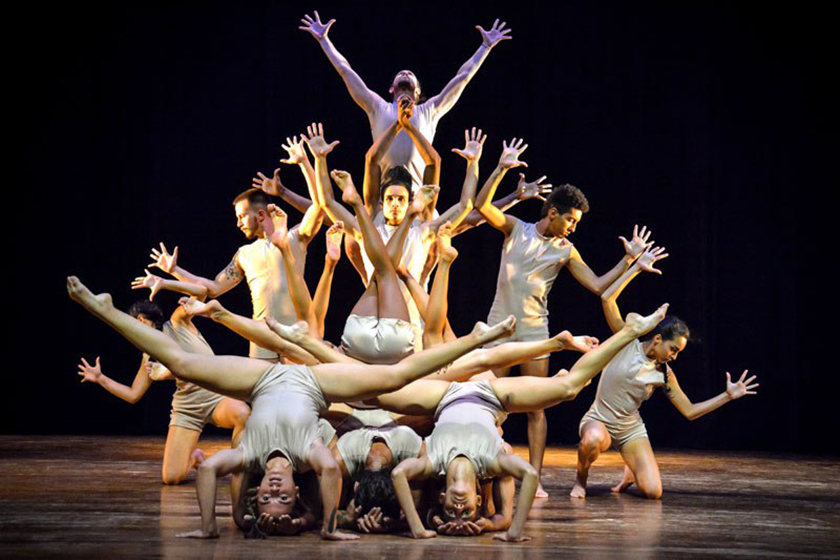 codanza 3