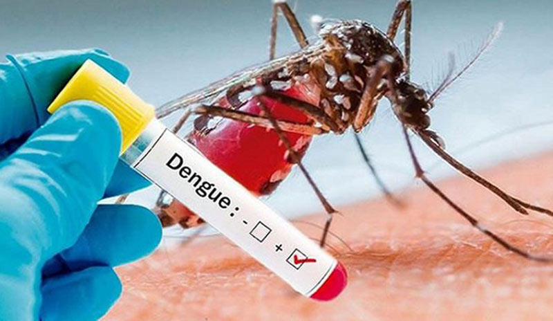 prevención dengue